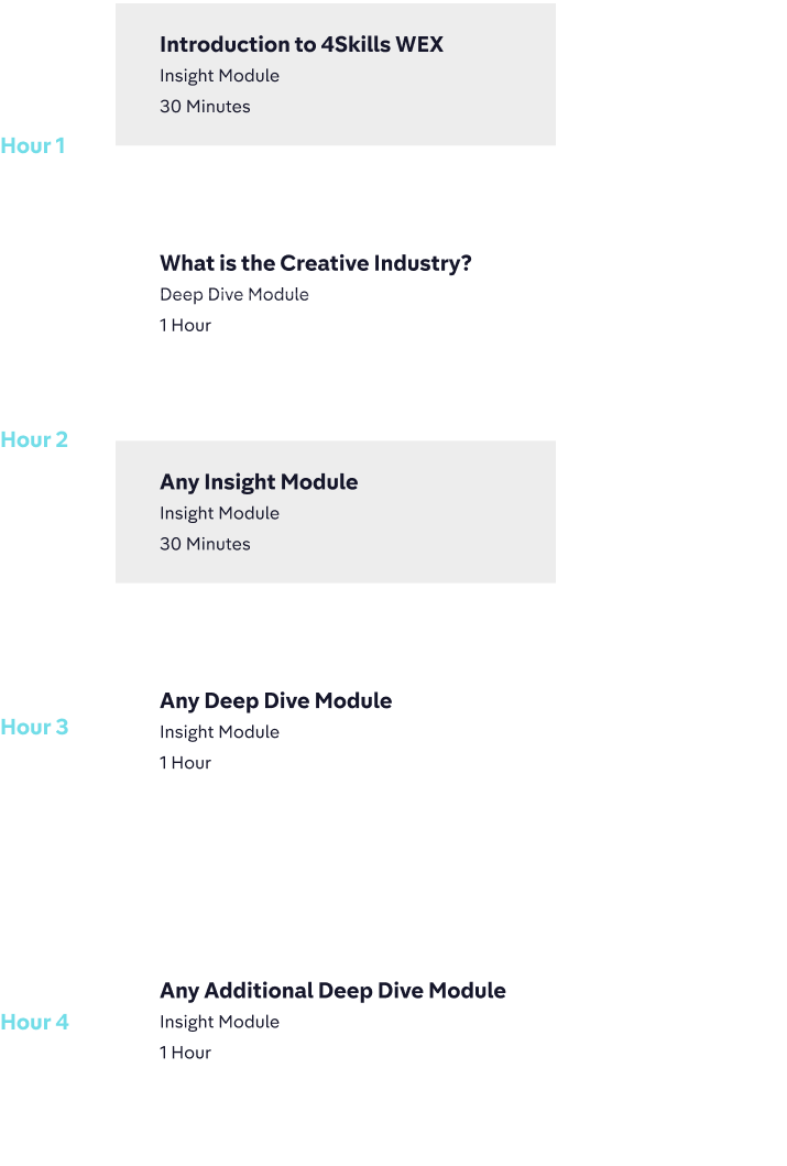 Programme timeline showing modules from Hour 1 to Hour 4